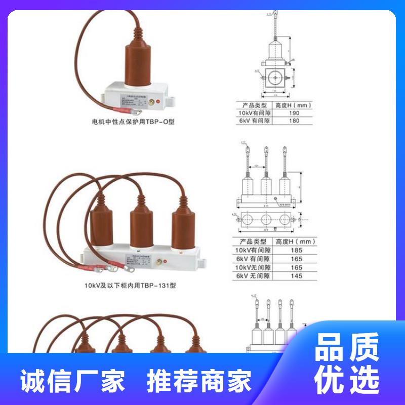 保護(hù)器(組合式避雷器)TBP-Y-C/35-T組合過(guò)電壓保護(hù)器