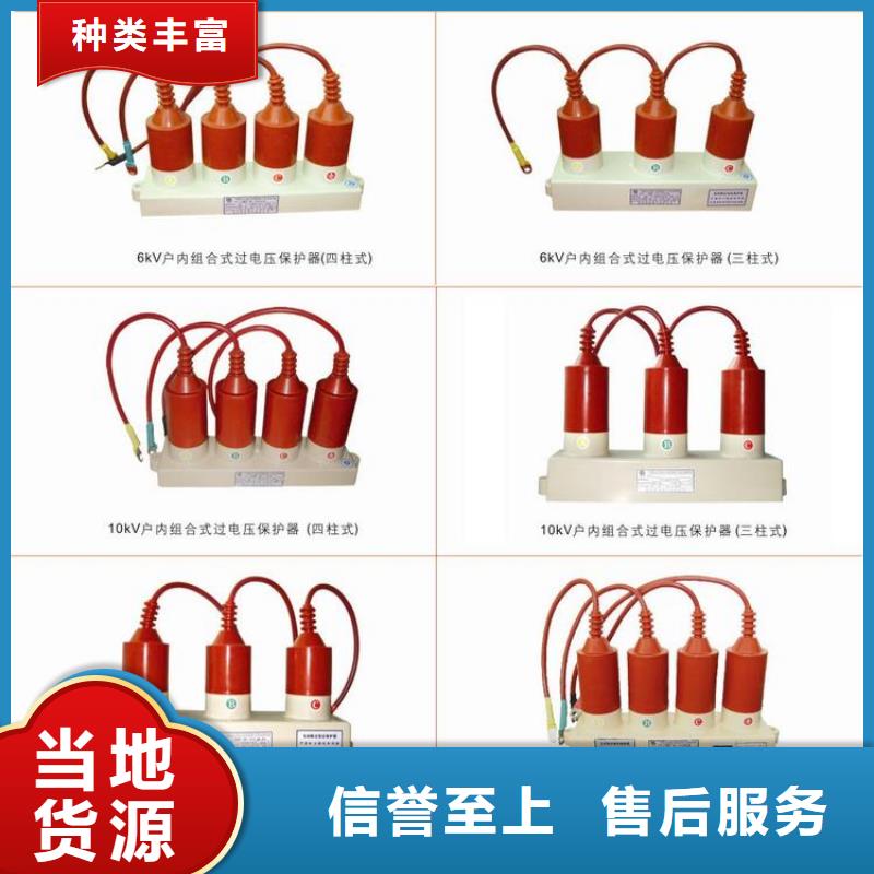 保護(hù)器(組合式避雷器)TBP-B-35/630W2