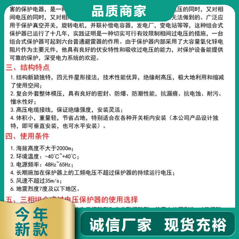 保護器(組合式避雷器)YHB5CD-7.6/18.7*7.6/18.7