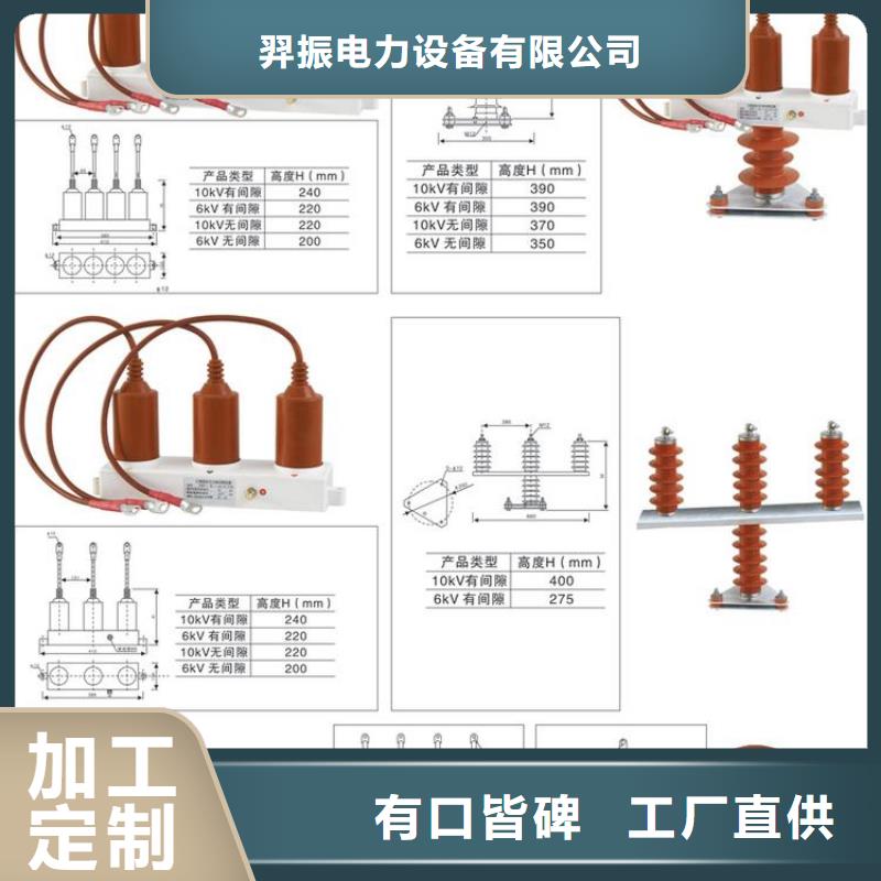 過電壓保護(hù)器(組合式避雷器)BWKP-B-7.6/131J