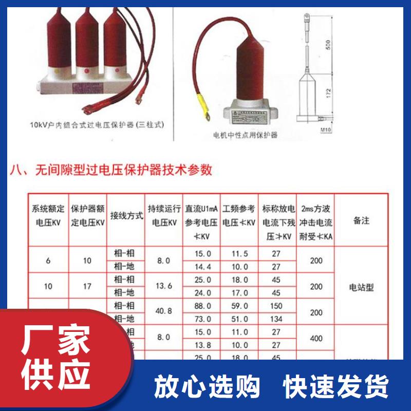 過(guò)電壓保護(hù)器(組合式避雷器)TBP-A-7.6F/85