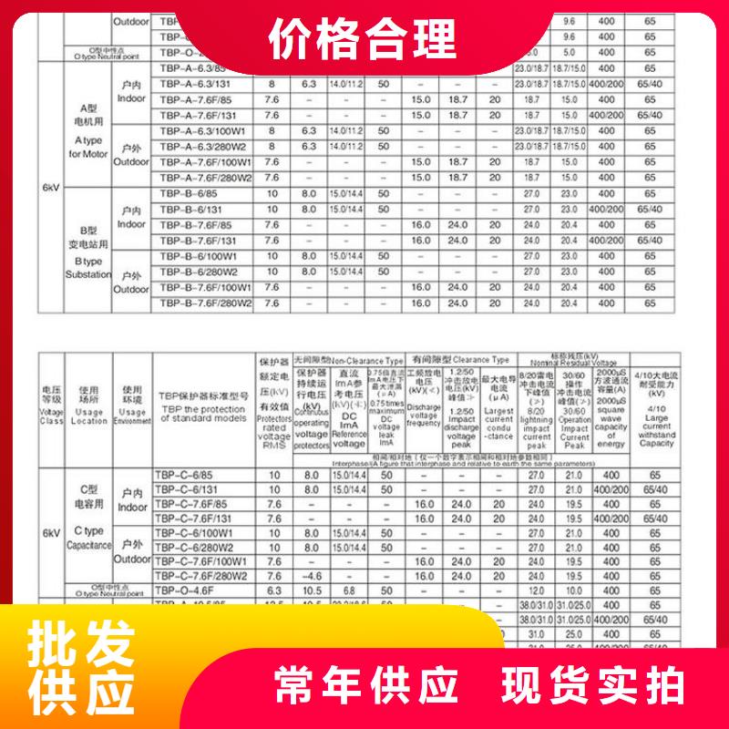 過電壓保護器(組合式避雷器)TBP-B-7.6F/131