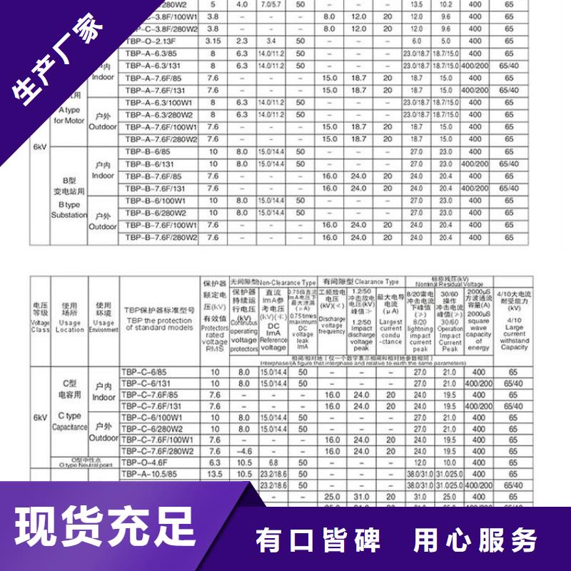 保護器(組合式避雷器)TBP-W-C/10-F組合過電壓保護器