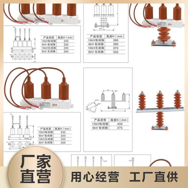 【避雷器/過(guò)電壓保護(hù)器】TBP-A-7.6/131-J