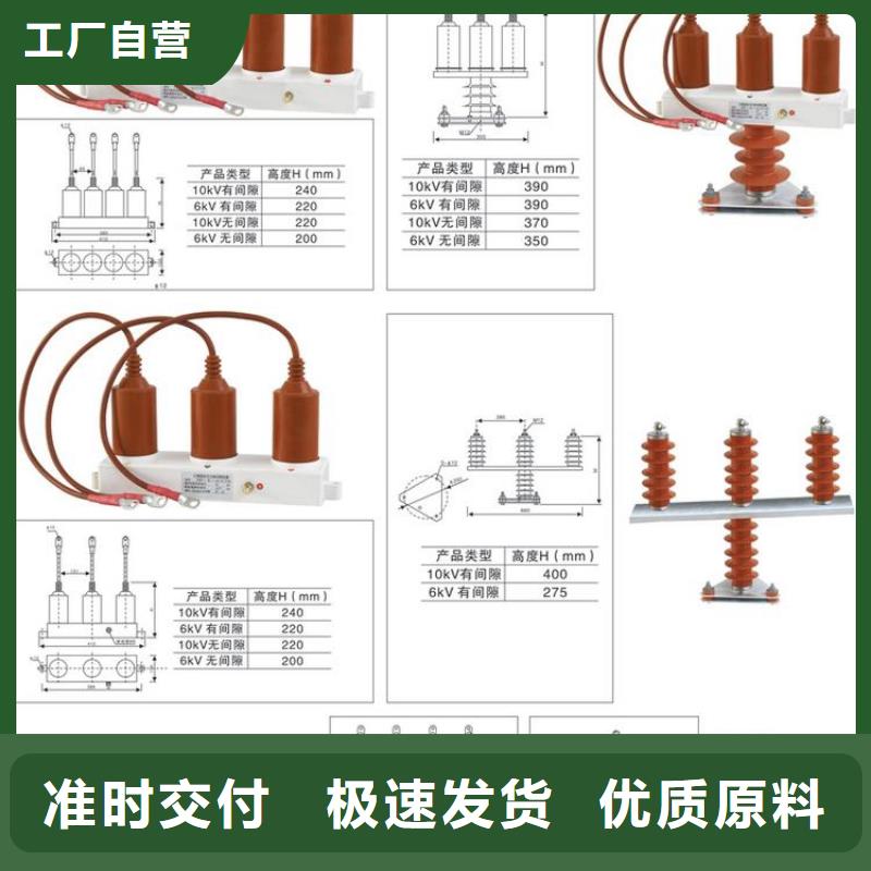 保護器(組合式避雷器)TGB-M-42/N