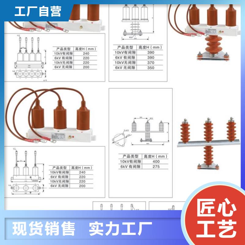 過電壓保護器(組合式避雷器)TBP-B/F-10.5