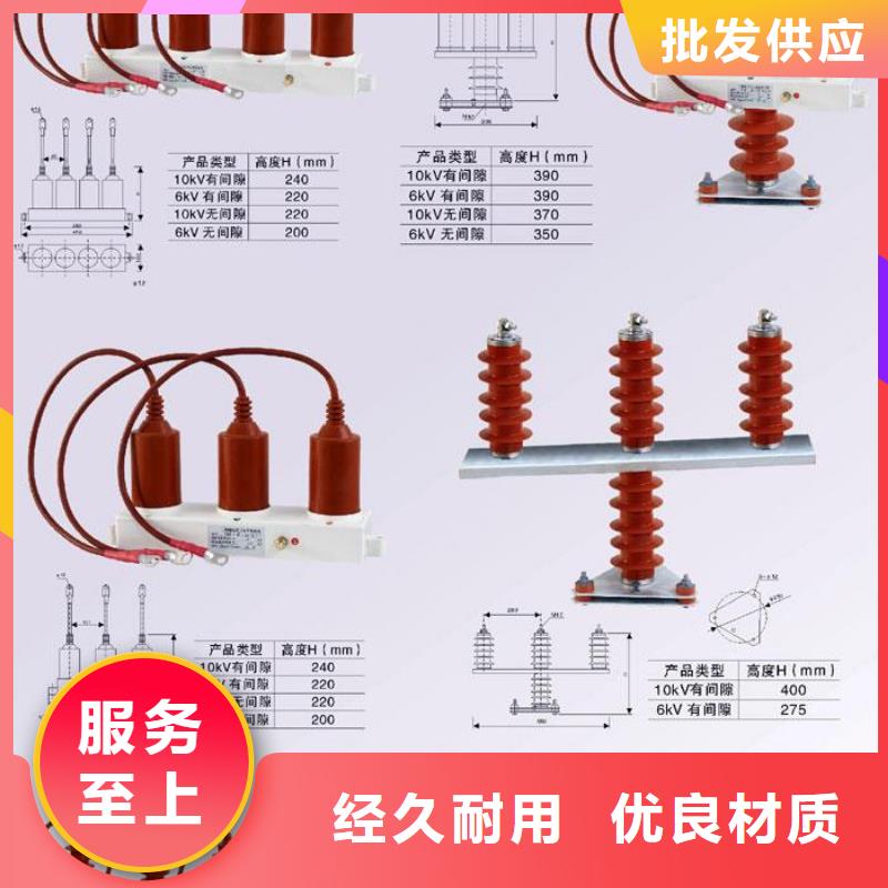 〖過(guò)電壓保護(hù)器〗TBP-C/10-F組合過(guò)電壓保護(hù)器詢問(wèn)報(bào)價(jià)