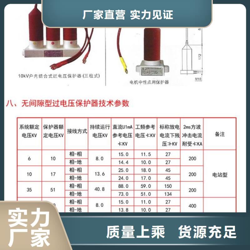 保護(hù)器(組合式避雷器)TBP-Y-C/35-T組合過電壓保護(hù)器