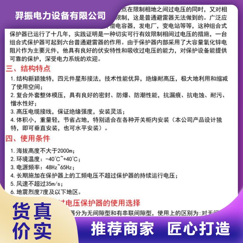 〖過(guò)電壓保護(hù)器〗BSTG-C-280W2現(xiàn)貨報(bào)價(jià)