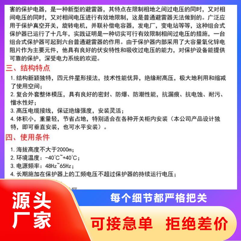 保護器(組合式避雷器)YHB5CD-12.7/31*12.7/31