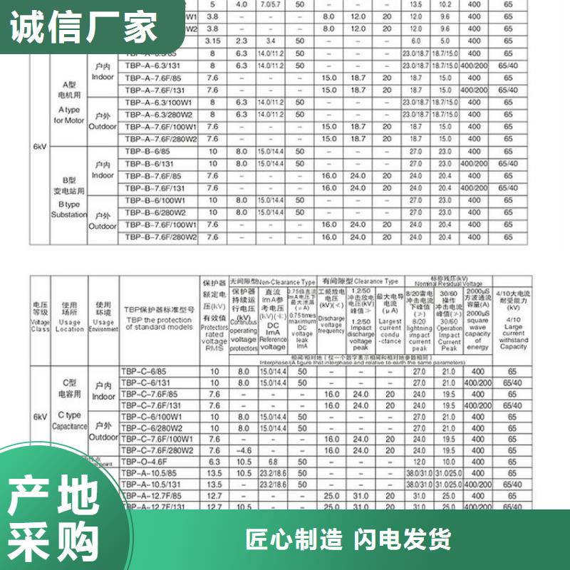 【羿振電氣】過電壓保護器TBP-A-12.7/131