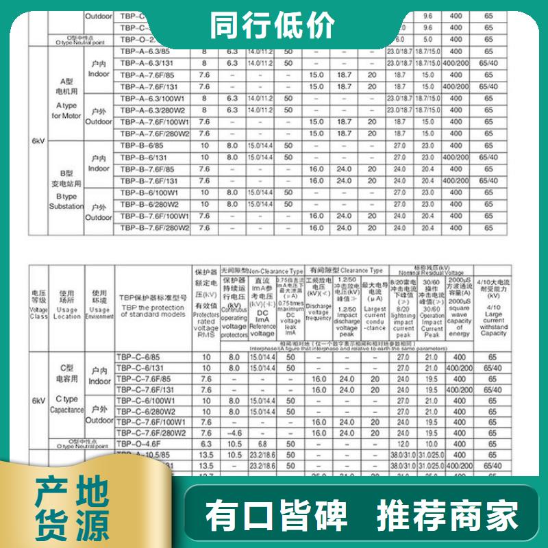 過電壓保護(hù)器(組合式避雷器)BSTG-A-7.6/800