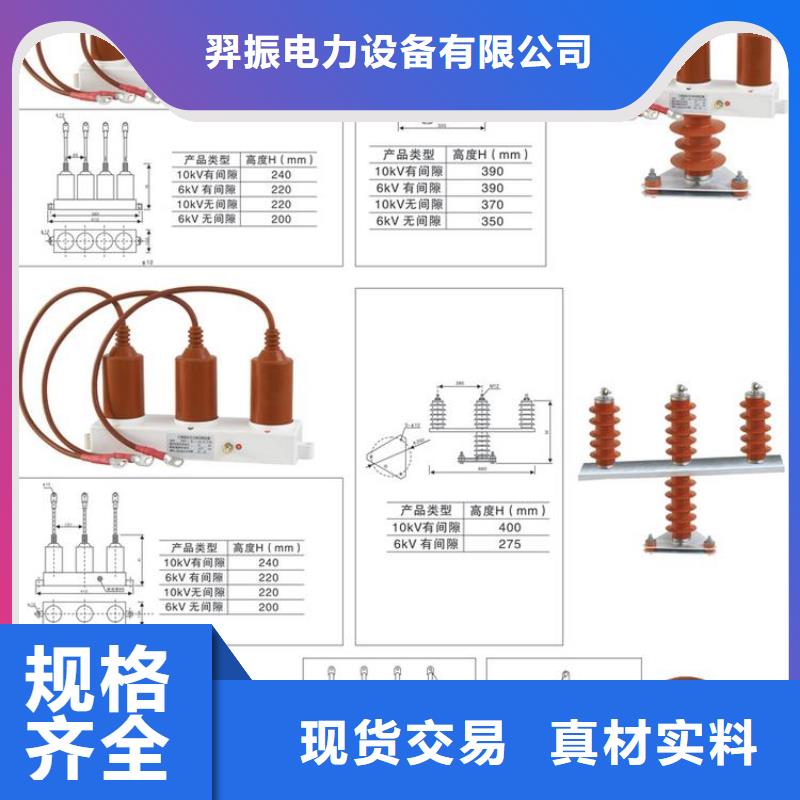 〖過(guò)電壓保護(hù)器〗TBP-A/F-6.3/85價(jià)格實(shí)惠