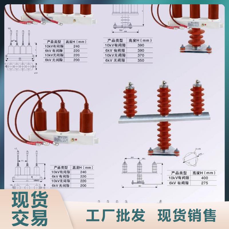 保護(hù)器(組合式避雷器)HRB-B-6