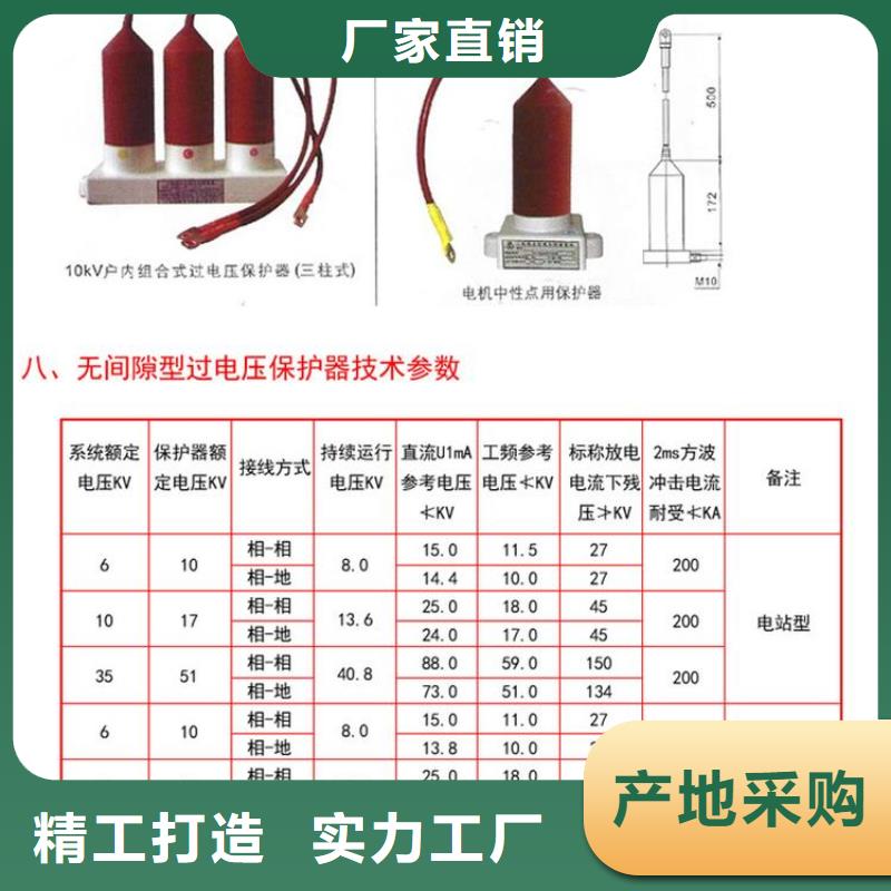 過電壓保護器(組合式避雷器)HTB-D-35KV/300