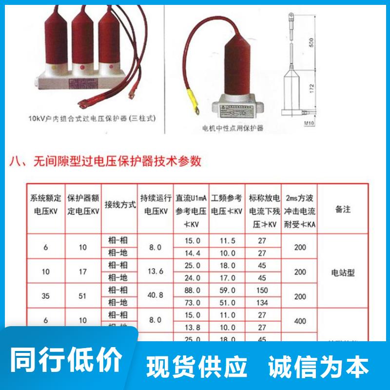 保護(hù)器(組合式避雷器)TBP-Y-C/35-T組合過(guò)電壓保護(hù)器