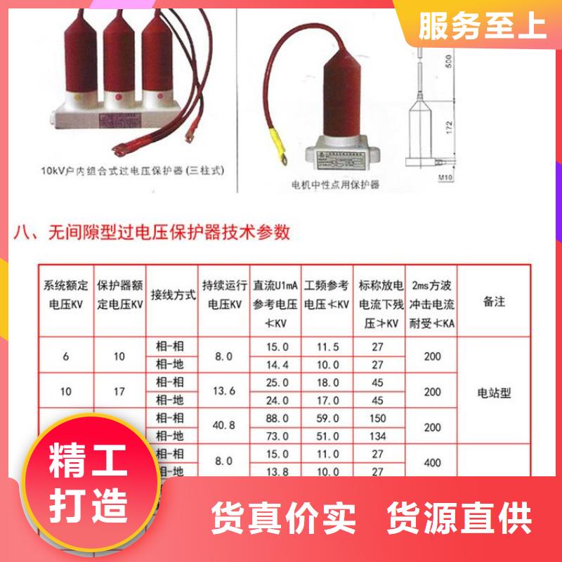 保護(hù)器(組合式避雷器)SCGB-B-42/119