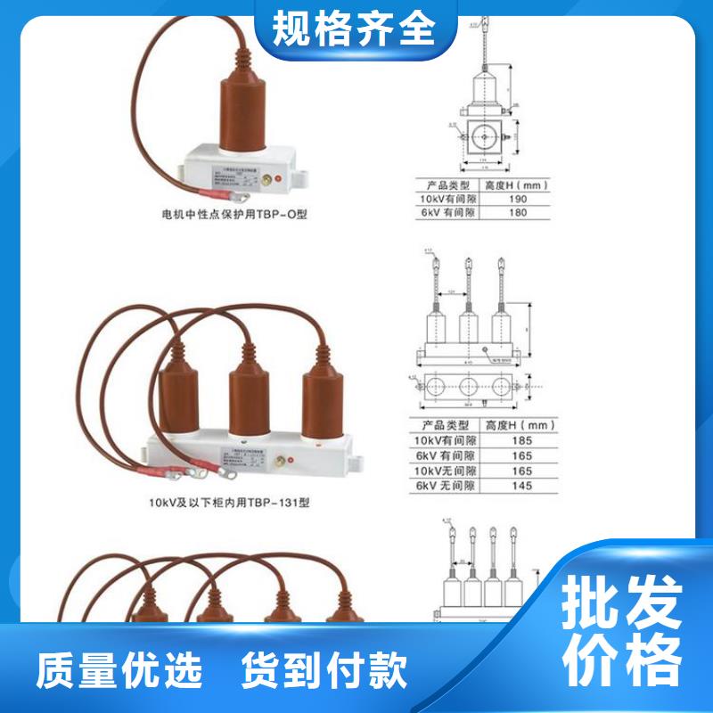 過電壓保護器(組合式避雷器)HTB-D-35KV/300