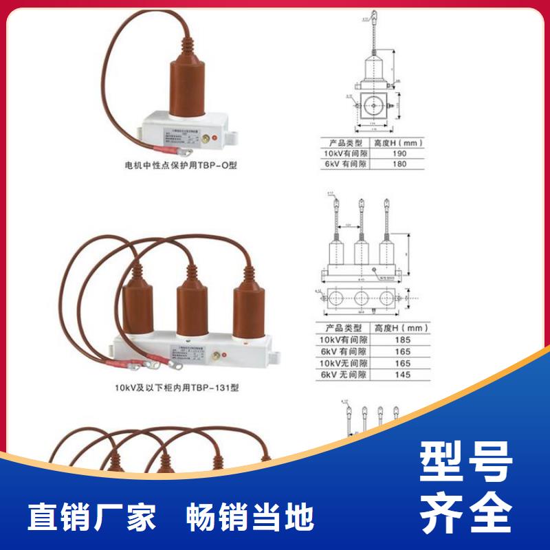 〖過電壓保護(hù)器〗TBP-C-42F/280廠家供應(yīng)