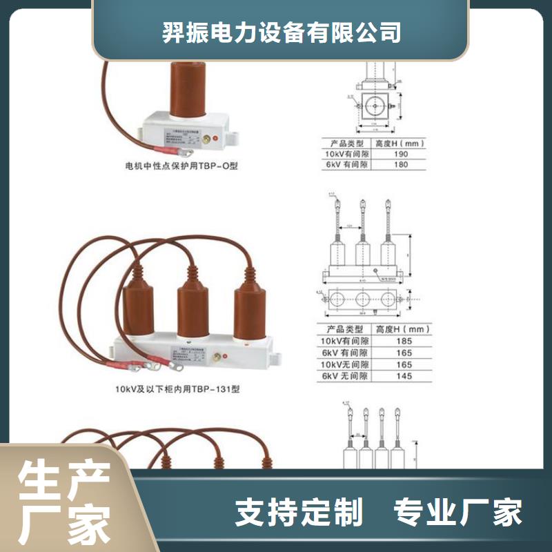 保護(hù)器(組合式避雷器)TBP-Y-C/35-T組合過(guò)電壓保護(hù)器