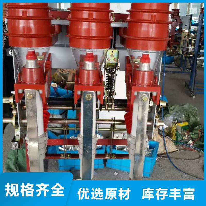 高压负荷开关FZRN21-12D/630-20_