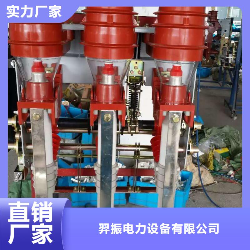 壓氣式負(fù)荷開關(guān)(熔斷器組合電器)FZN12-12D/630-20_
