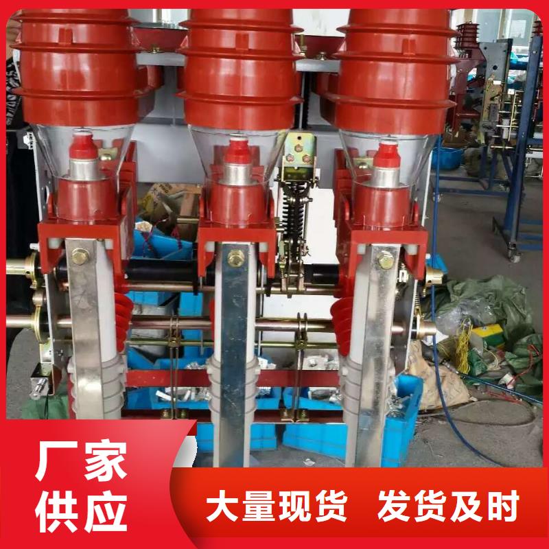 高壓負(fù)荷開關(guān)FZN25-10D/T200-31.5