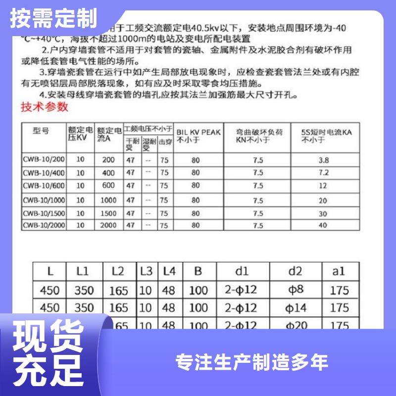 〖高壓穿墻套管〗CWWL-20/1600現貨齊全