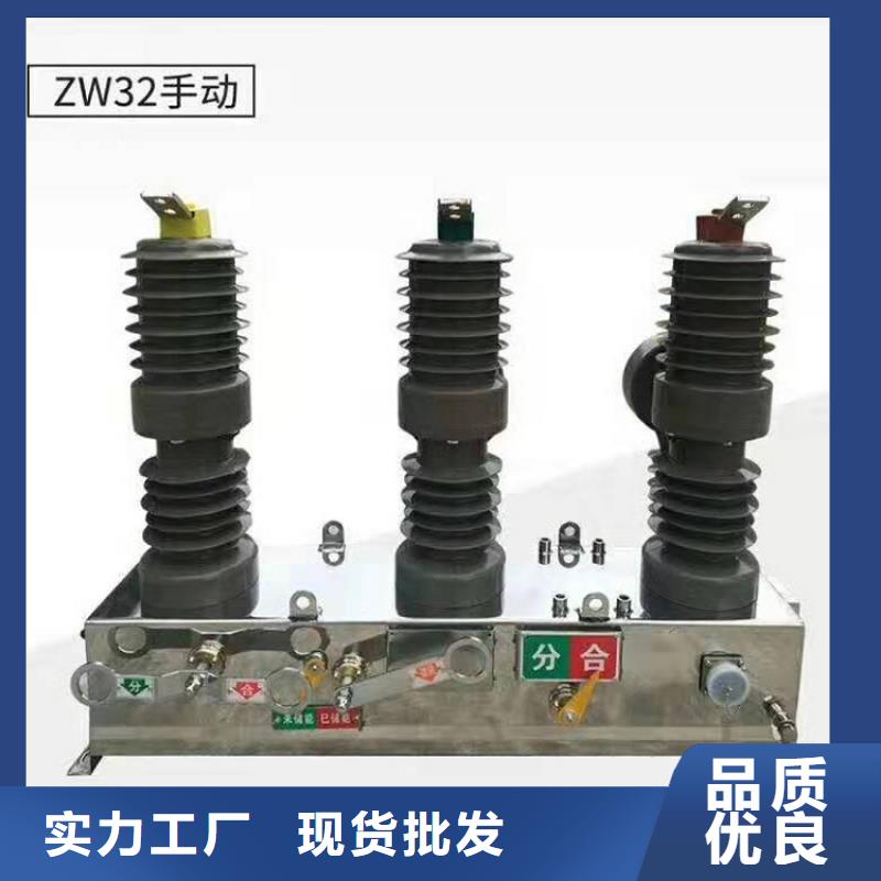 永磁真空斷路器ZW32-12G/M630A