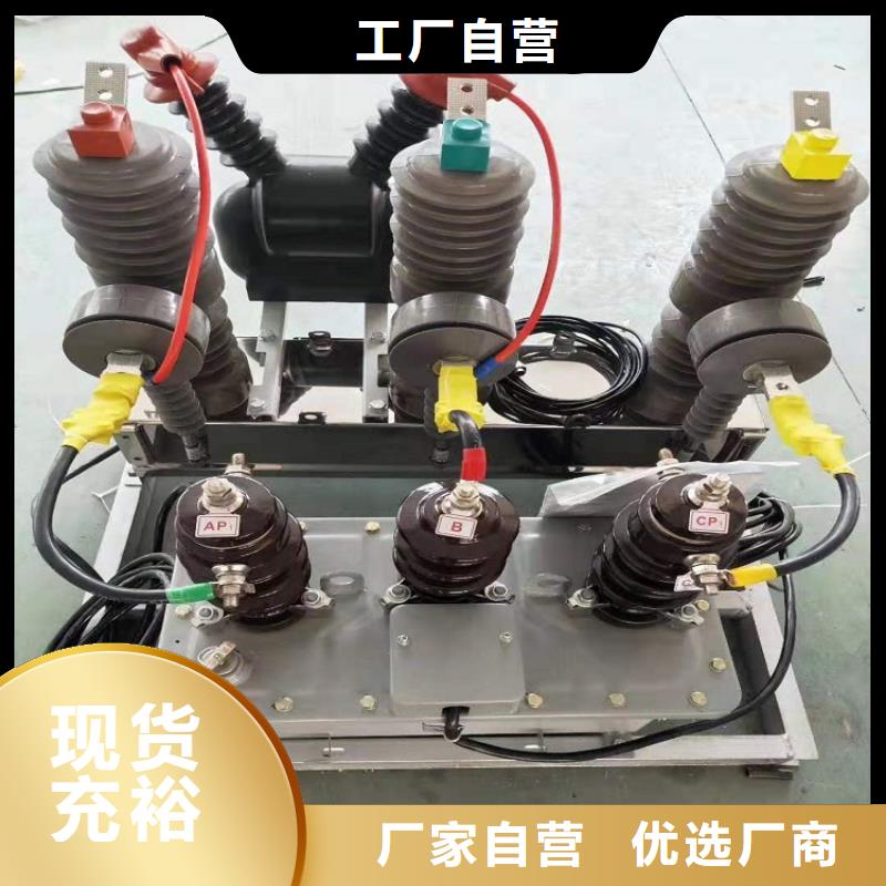 【真空断路器】ZW32-12G/630-25