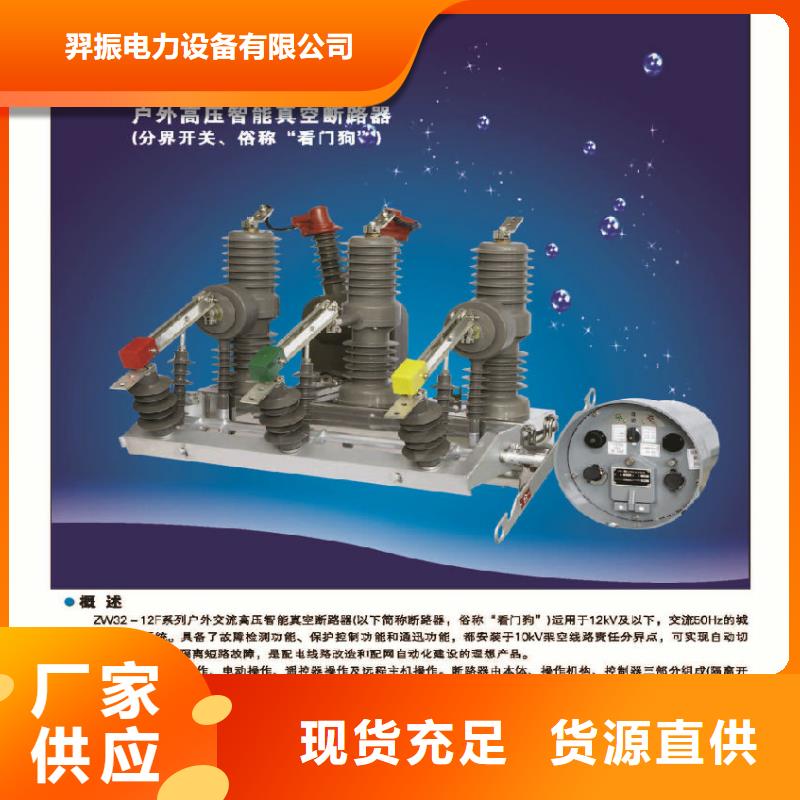 【真空断路器】ZW32-12G/T630A