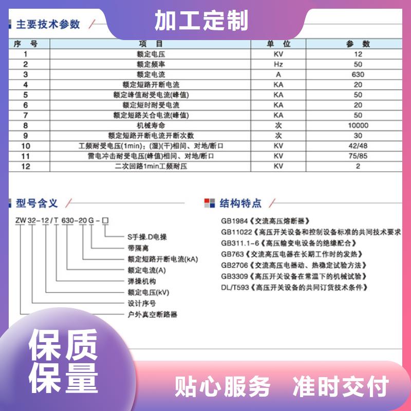 品牌【羿振電力】真空斷路器ZW32-12DG/630-20