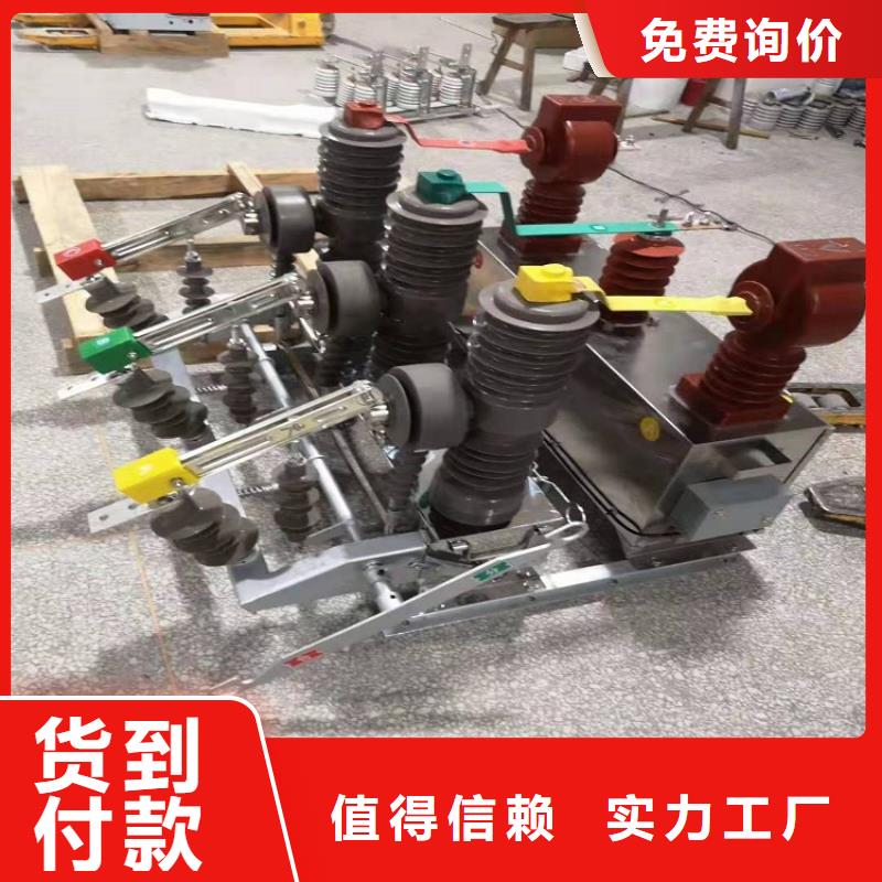 品牌【羿振電力】柱上斷路器ZW32-12GF/T630-20