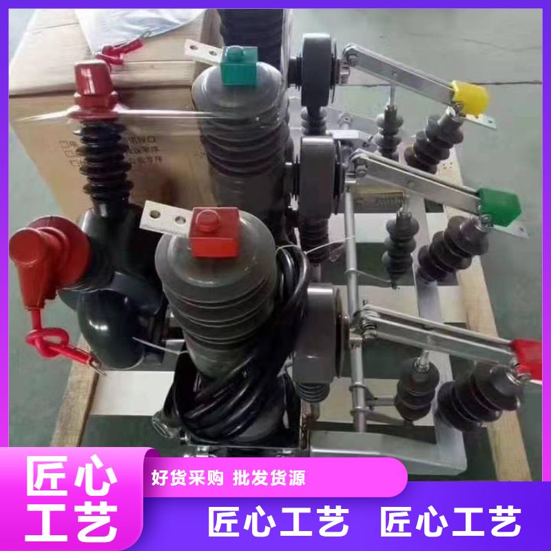 ZW32-12/630A戶外高壓柱上真空斷路器手動智能型看門狗10KV