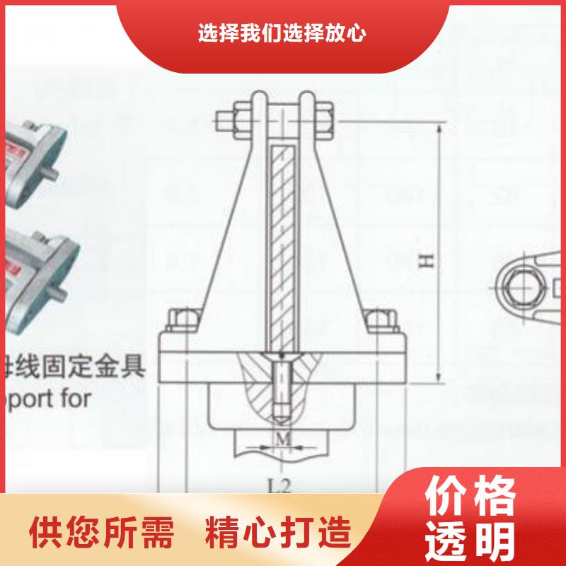 JNP-108銅(鋁)母線夾具