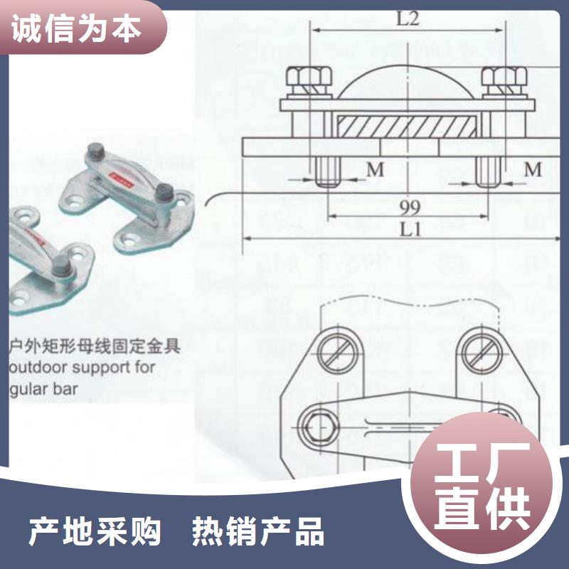 JNP-108銅(鋁)母線夾具