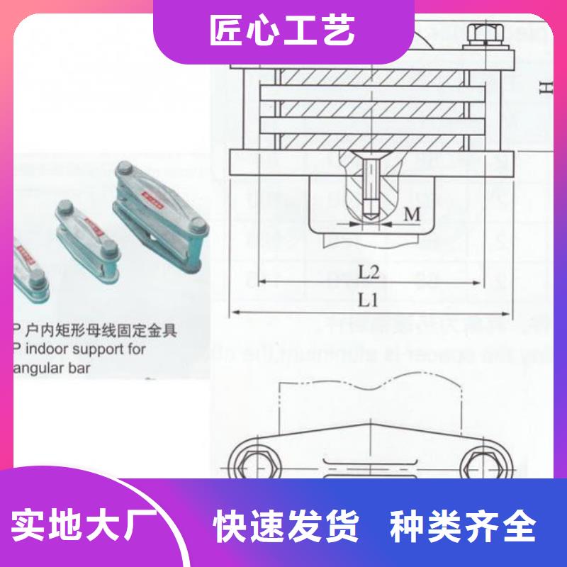 ZB-10T支柱絕緣子【上海羿振電力設(shè)備有限公司】