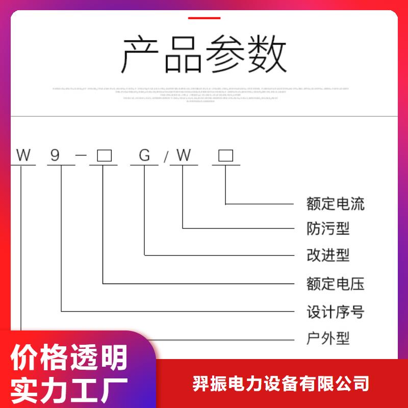 戶外高壓交流隔離開關：HGW9-12KV/200A質量可靠