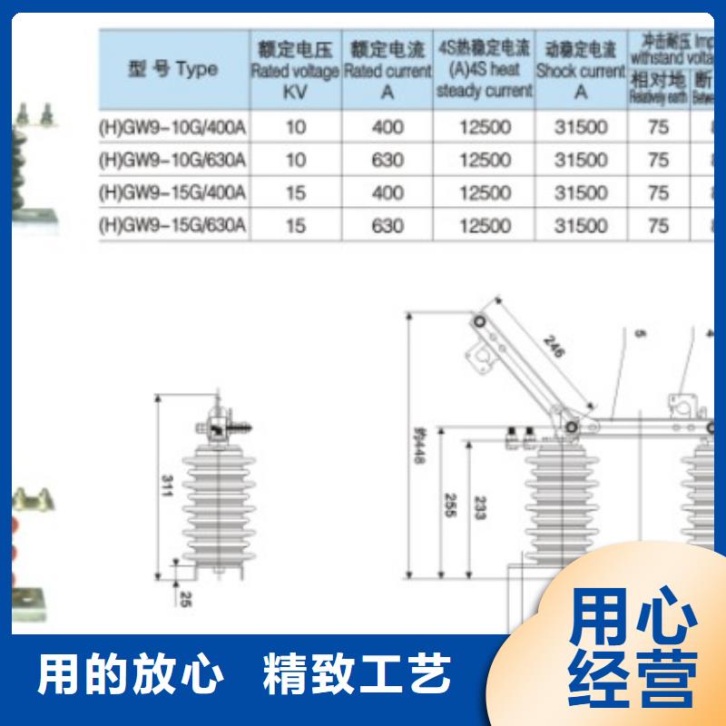 單極隔離開關(guān)GW9-12W/630廠家報(bào)價(jià).