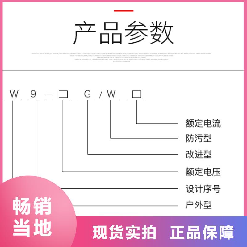 【羿振電氣】隔離開關HGW9-12/630