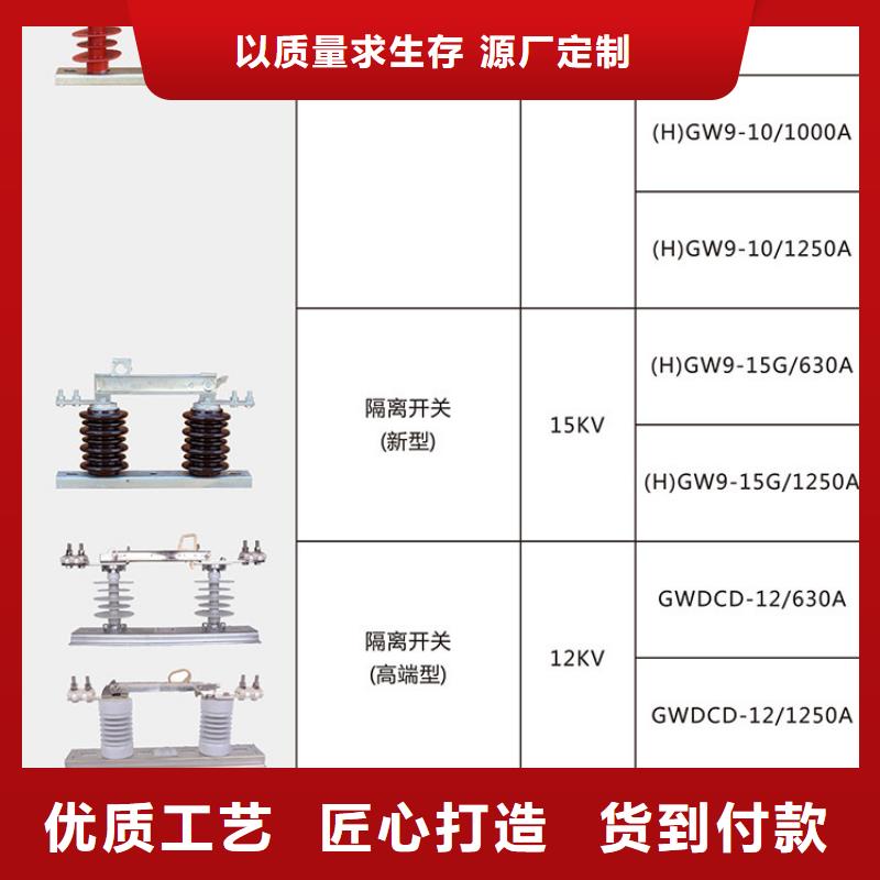 【隔離開關(guān)】HGW9-12KV/200