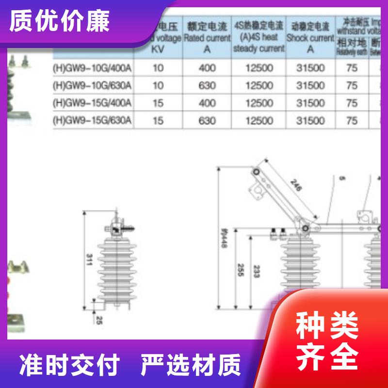 品牌：羿振GW9-12KV/1250A