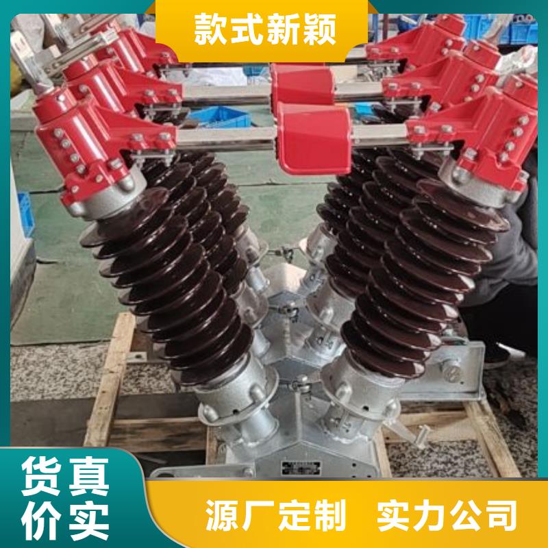 高压隔离开关HGW1-12KV/630A