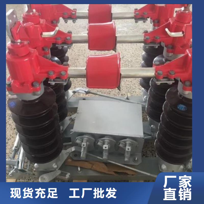 高壓隔離開關HGW1-10KV/630A