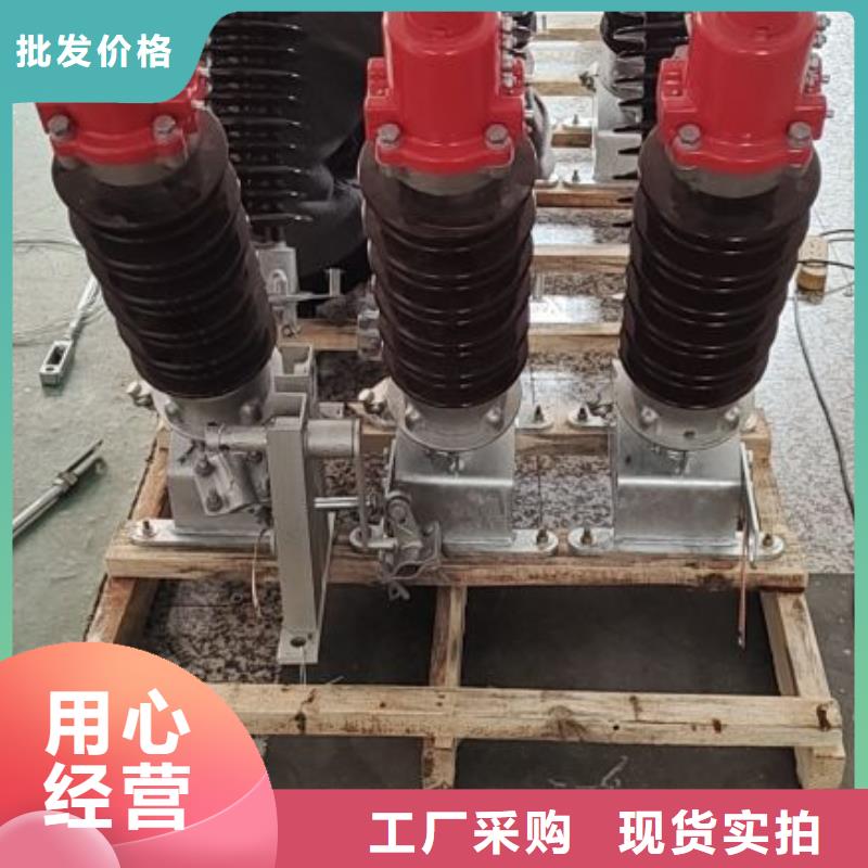 高壓隔離開關HGW1-10KV/630A