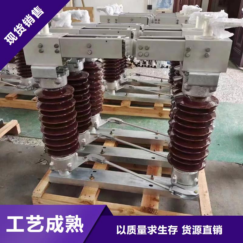 高壓隔離開關HGW1-10KV/630