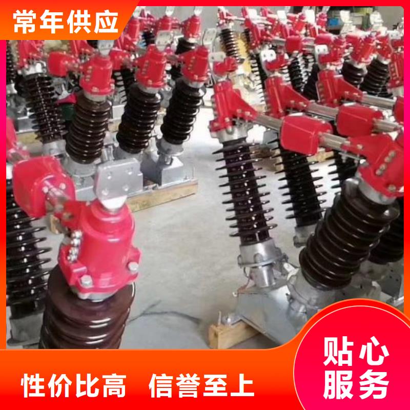 高壓隔離開關HGW1-10KV/630A