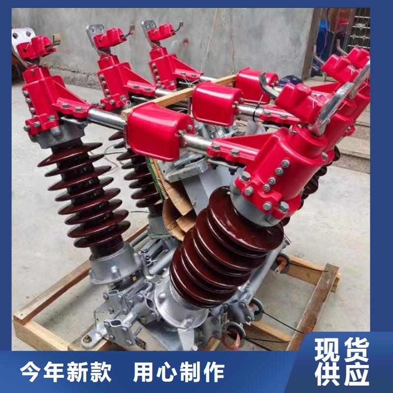 高壓隔離開關HGW1-10KV/400A