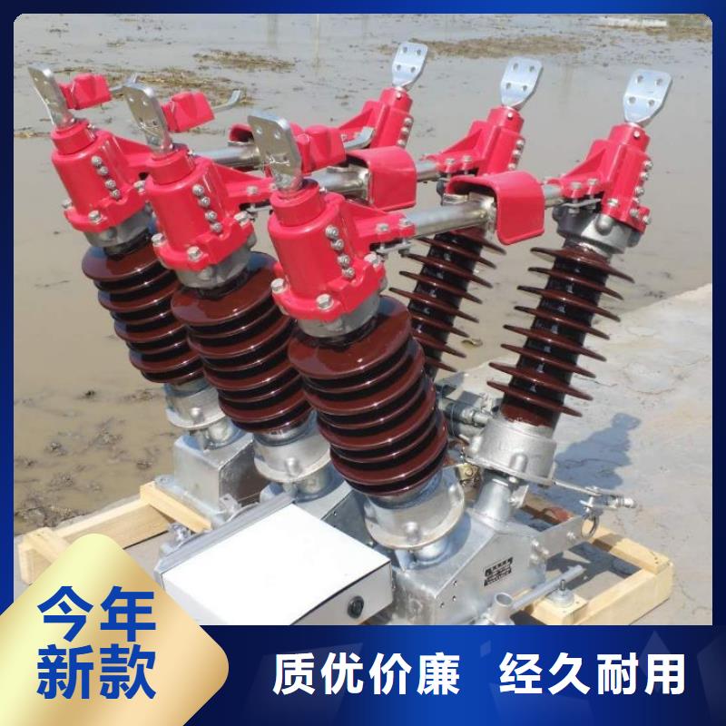 高壓隔離開關GW1-12KV/630A