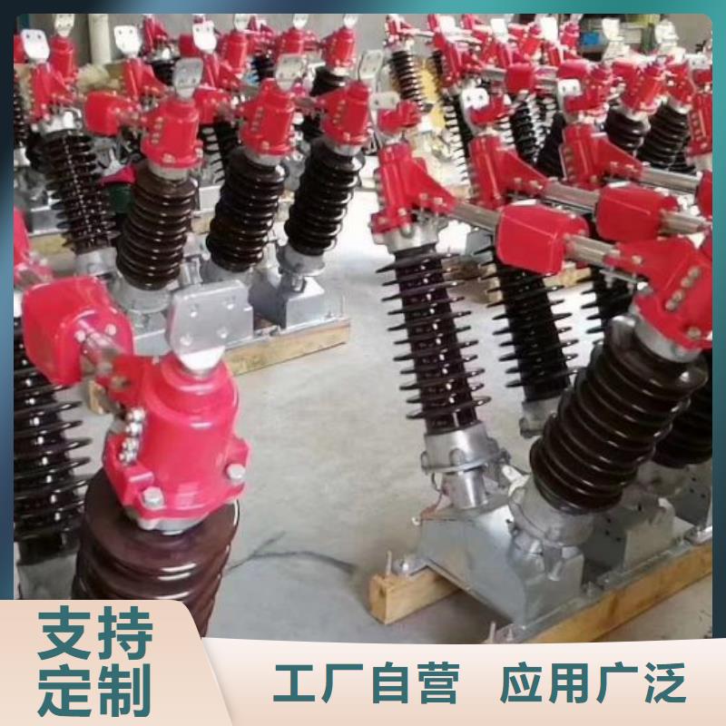 高壓隔離開關HGW1-10KV/630A